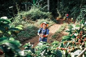 BIB: 
                            <button type="button" onclick="openModal(25857506)" class="btn btn-primary btn-sm float-right btn-popup" data-toggle="modal" data-target=".modal-high-quality">
                        <i class="fas fa-shopping-cart"></i> Add to Cart
                    </button>
                                            <button type="button" onclick="isThisMe(25857506, true)" class="btn btn-success btn-sm float-right btn-popup btn-isme hidden" data-toggle="tooltip" data-placement="bottom" title="นี่คือรูปของคุณใช่ไหม คลิกที่นี่เพื่อเอาเข้าอัลบั้ม">
                        <i class="fas fa-plus"></i> Add to album
                    </button>
                    <button type="button" onclick="isThisMe(25857506, false)" class="btn btn-warning btn-sm float-right btn-popup btn-isnotme hidden">
                        <i class="fas fa-ban"></i> Remove from album
                    </button>